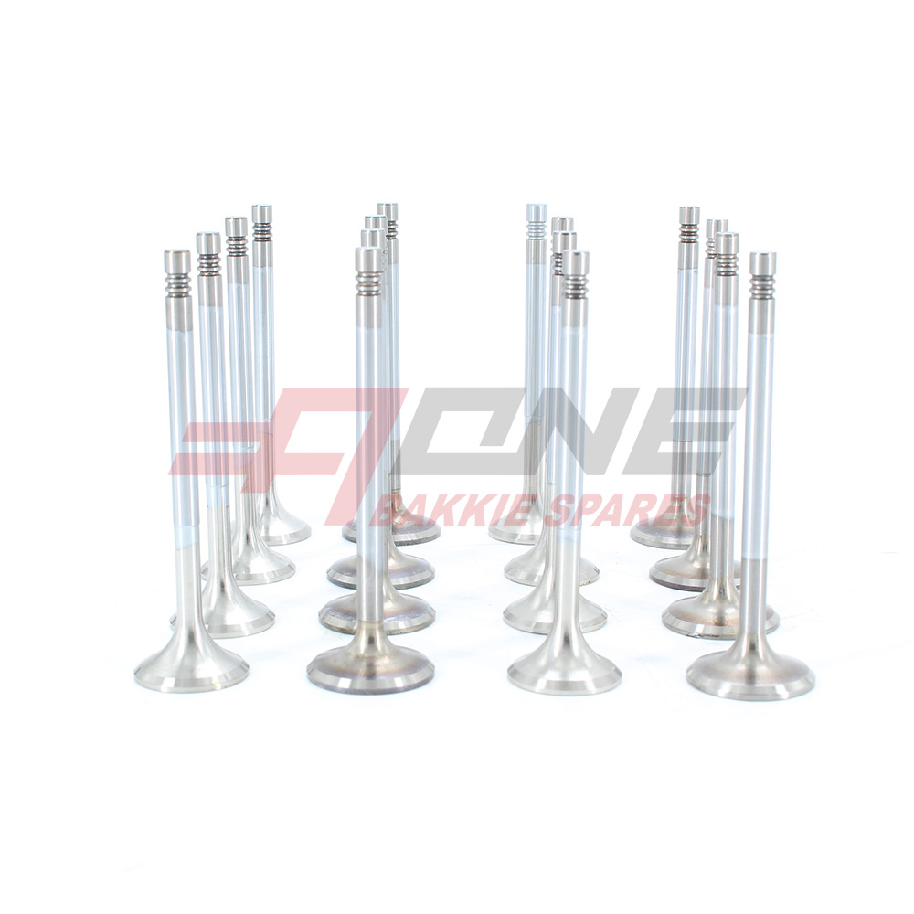 Valve Set Cylinder Head for MAHINDRA SCORPIO 2.2 MHAWK LWB — view 2